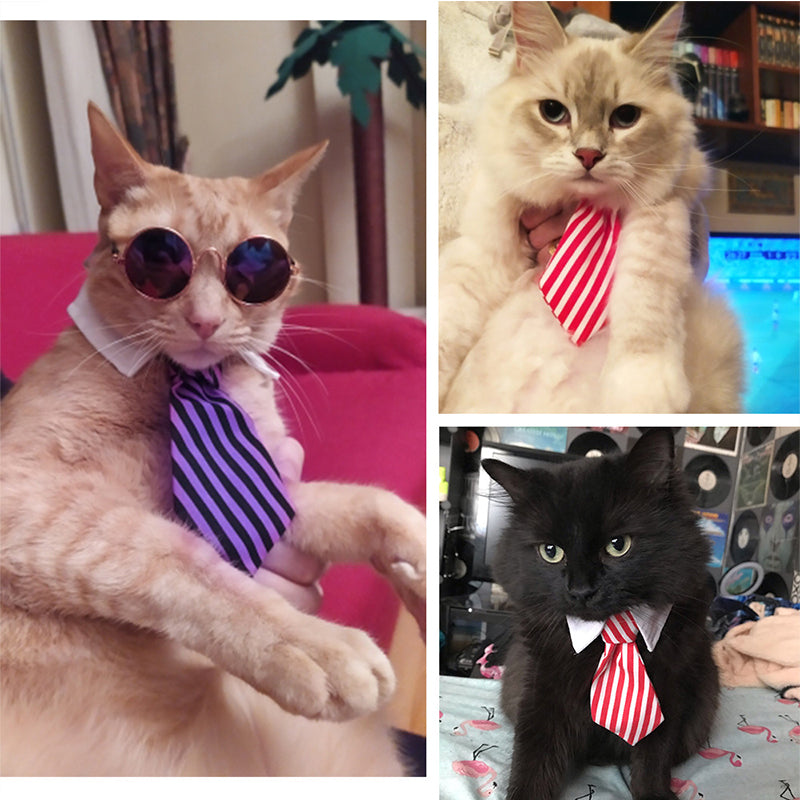 Halloween Cat Costume Clothes