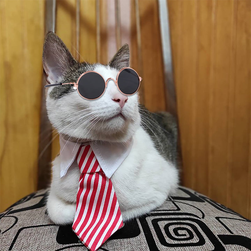 Halloween Cat Costume Clothes