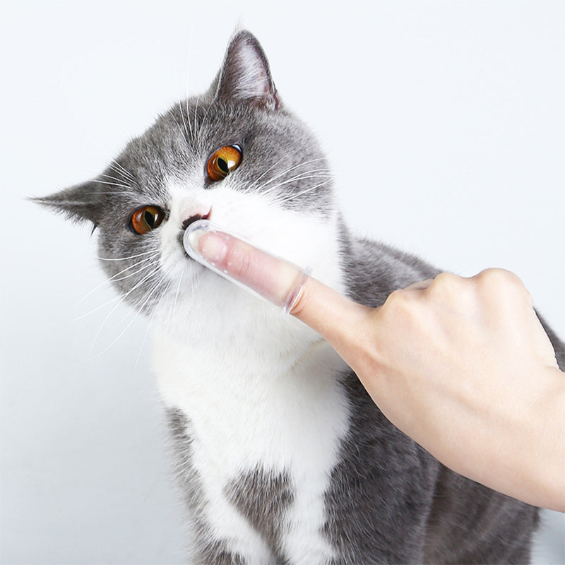 Pet Toothbrush