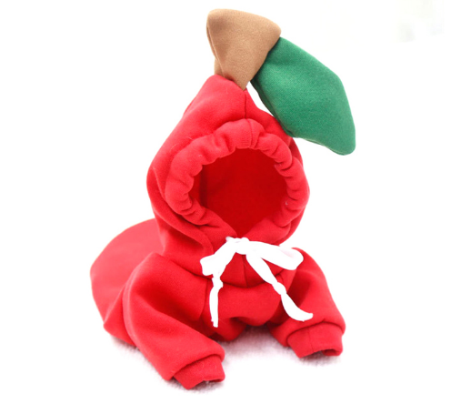 Cute Fruit Dog Clothes