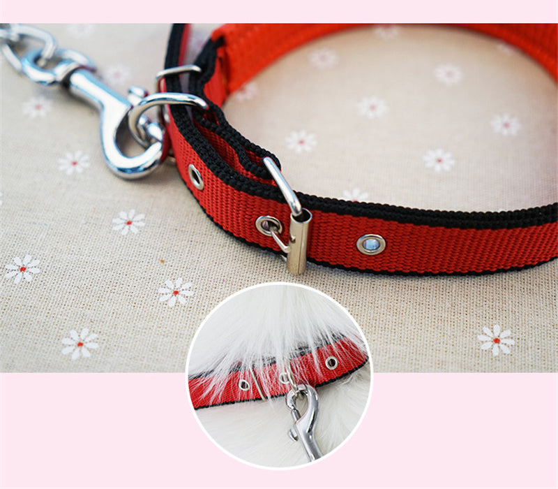 Adjustable Nylon Dog Collars