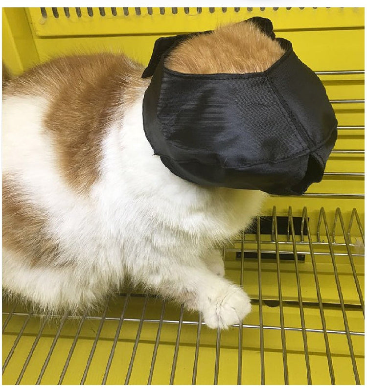 Breathable Nylon Cat Muzzles Kitten Anti-bite Scratch Mask Adjustable