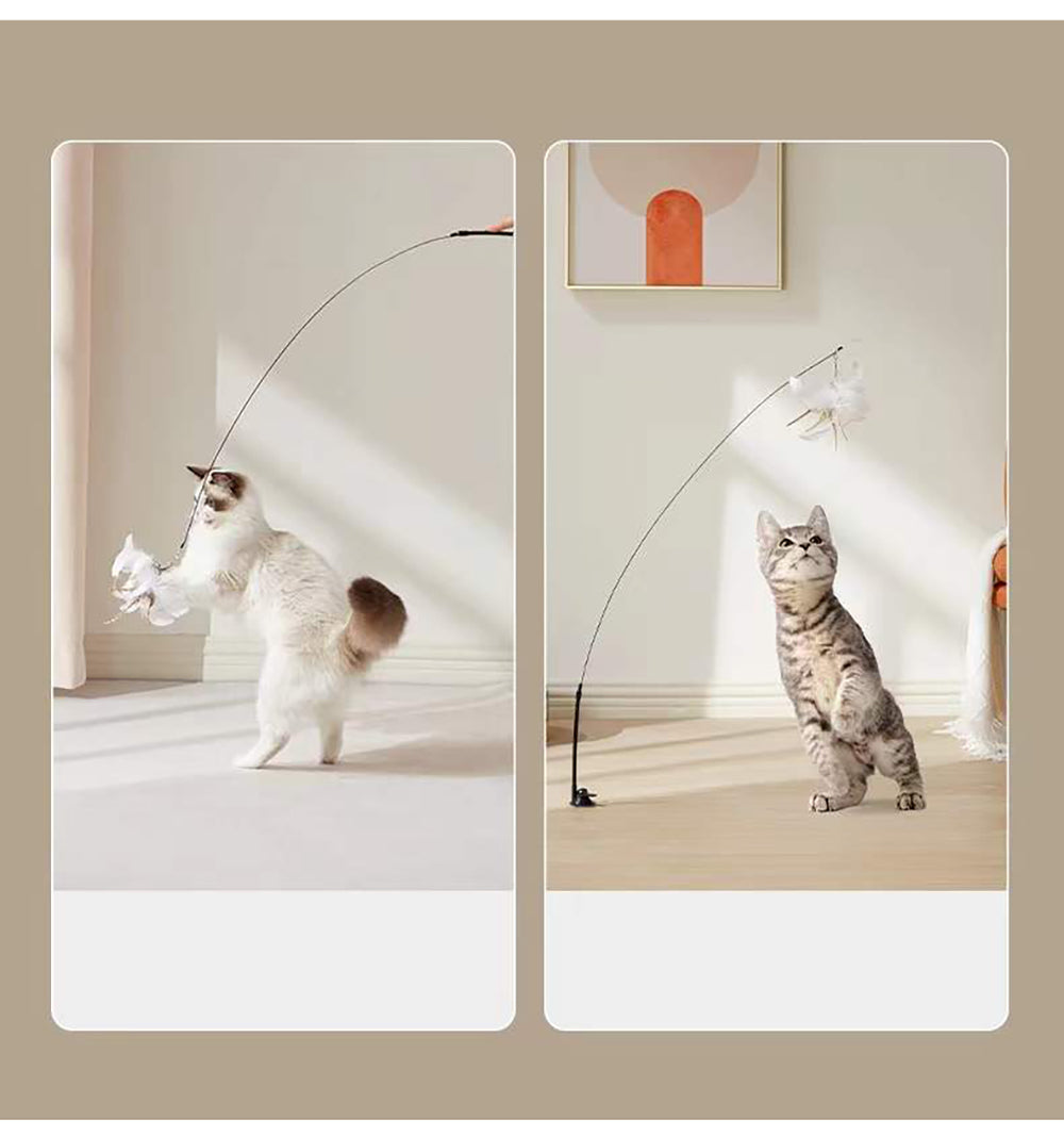 Cat Toy Interactive Feather