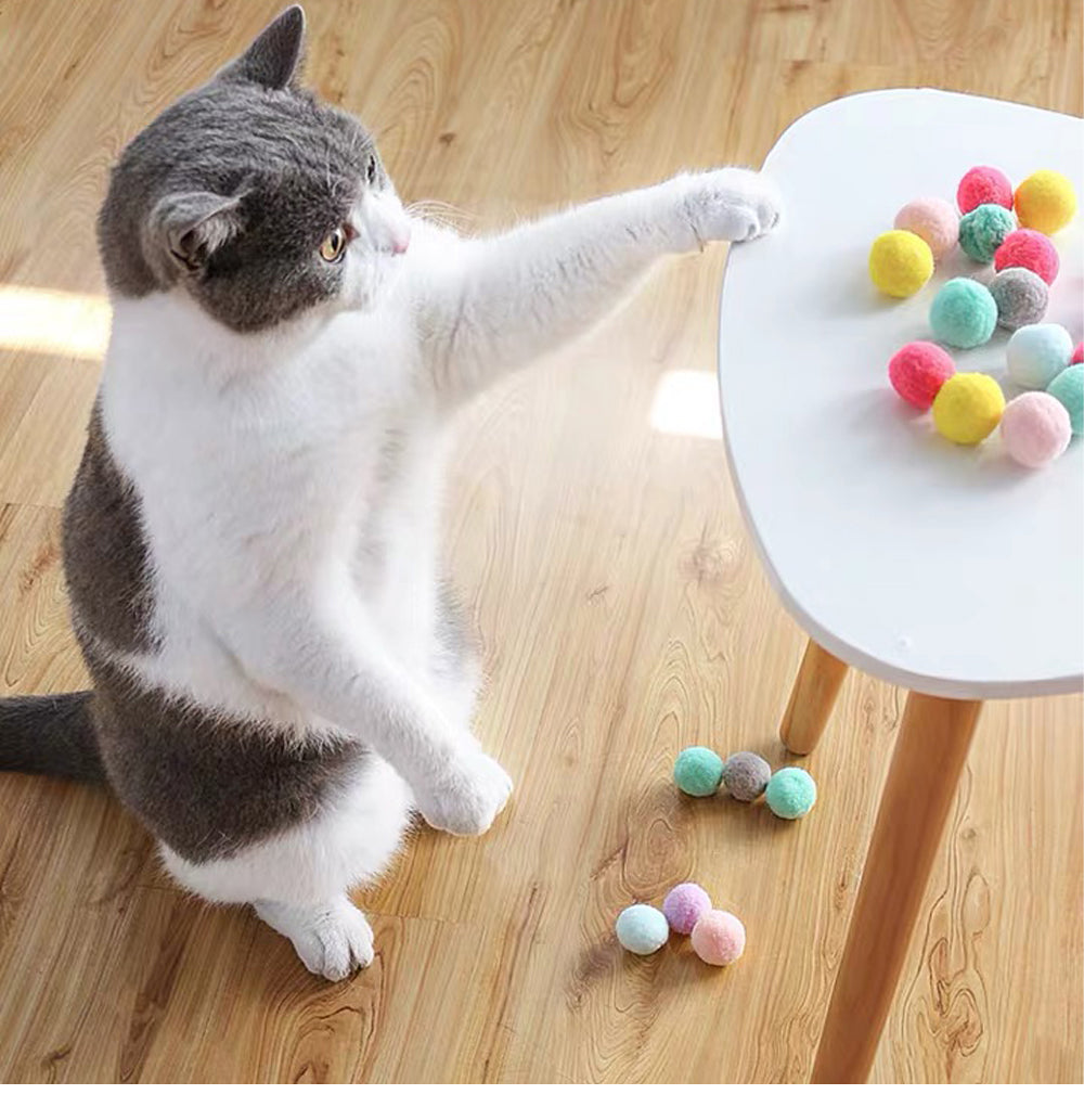 Cat Toy Set Funny Pet Interactive Fish Mouse Ball Catnip Toy