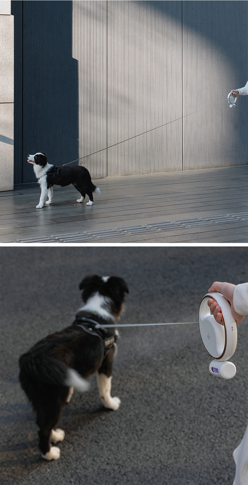 Dog Automatic Retractable Leads Traction Rope