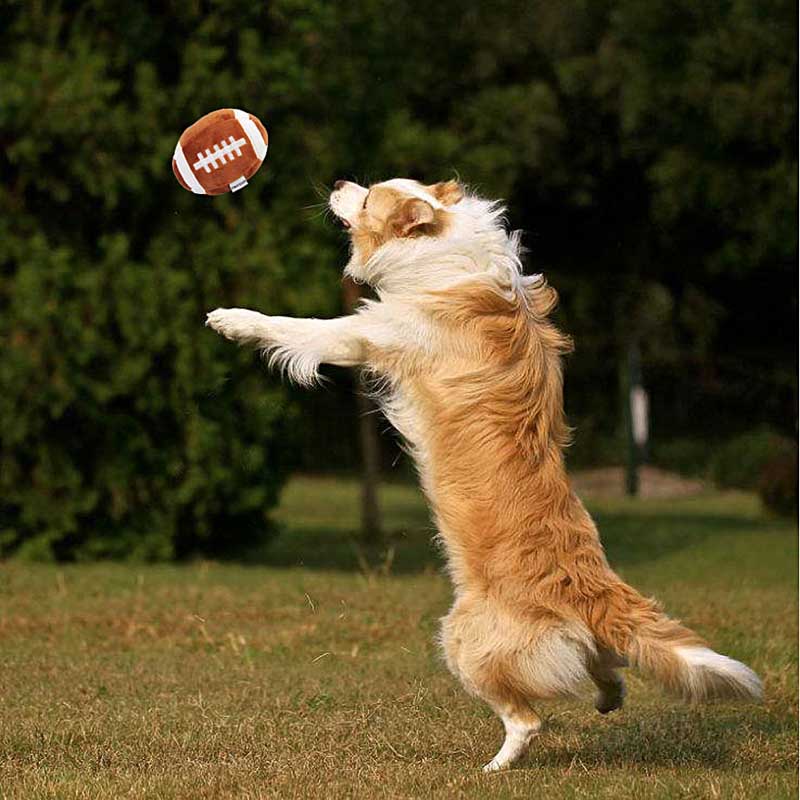 Dog Football Toy Funny Ball Shape Plush Dog Pet Toys