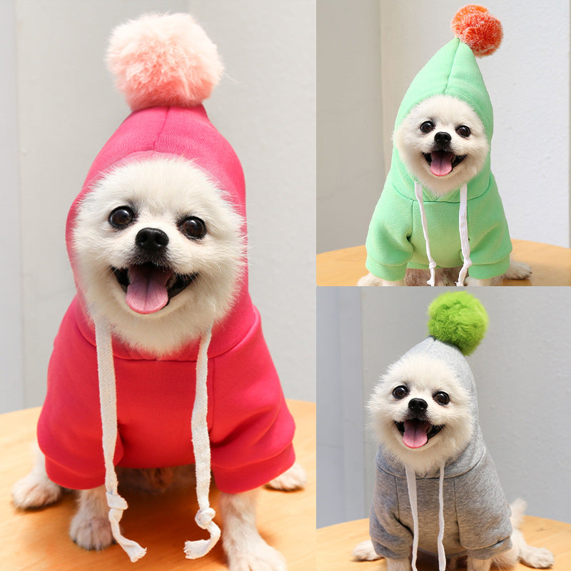 Cute Fruit Dog Clothes