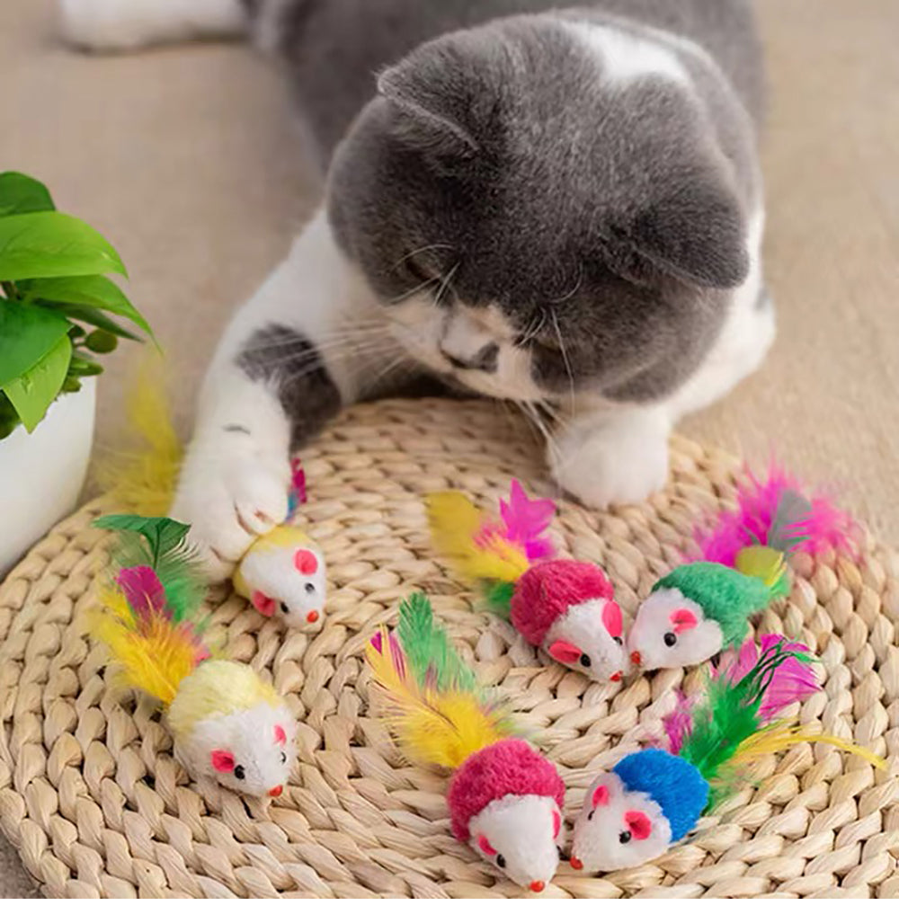 Cat Toy Set Funny Pet Interactive Fish Mouse Ball Catnip Toy