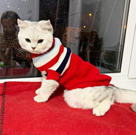 Warm Cat Clothes Winter Christmas