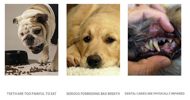 Pet Toothbrush