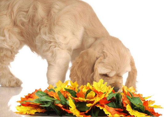 Pet Sniffing Pad Leaf Toy