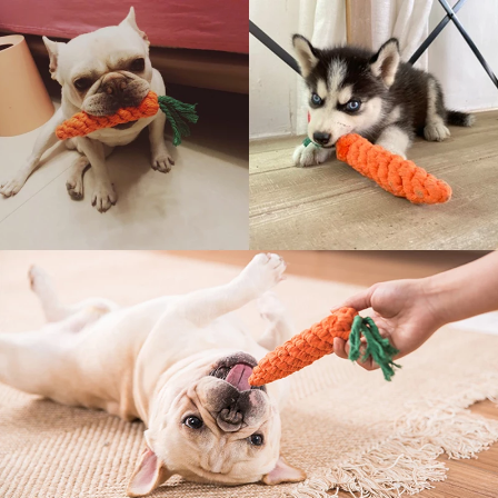 Toys for Small Dogs Cleaning Teeth