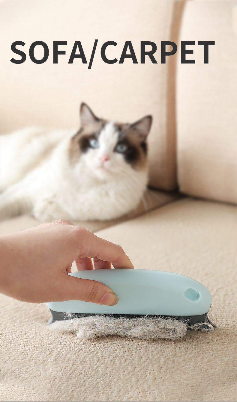 Portable Lint Fur Brush Scraper