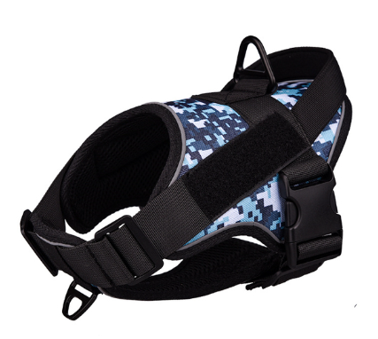 Outdoor Walking Dog Collar Strap