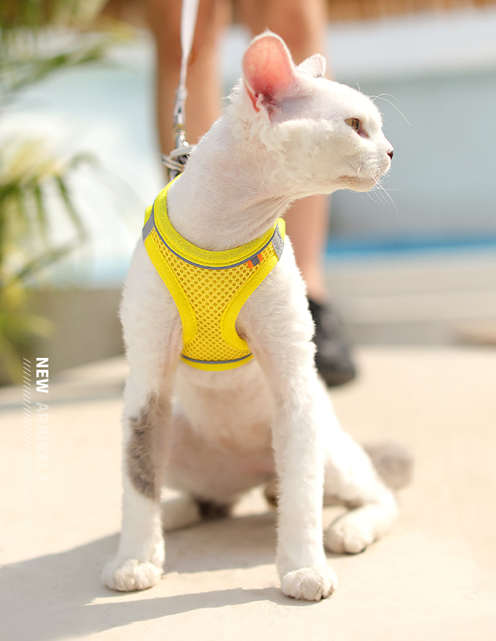 New Cat Harness Leash Set Adjustable Kitten Collar Vest