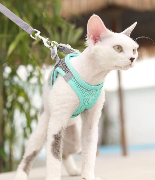 New Cat Harness Leash Set Adjustable Kitten Collar Vest