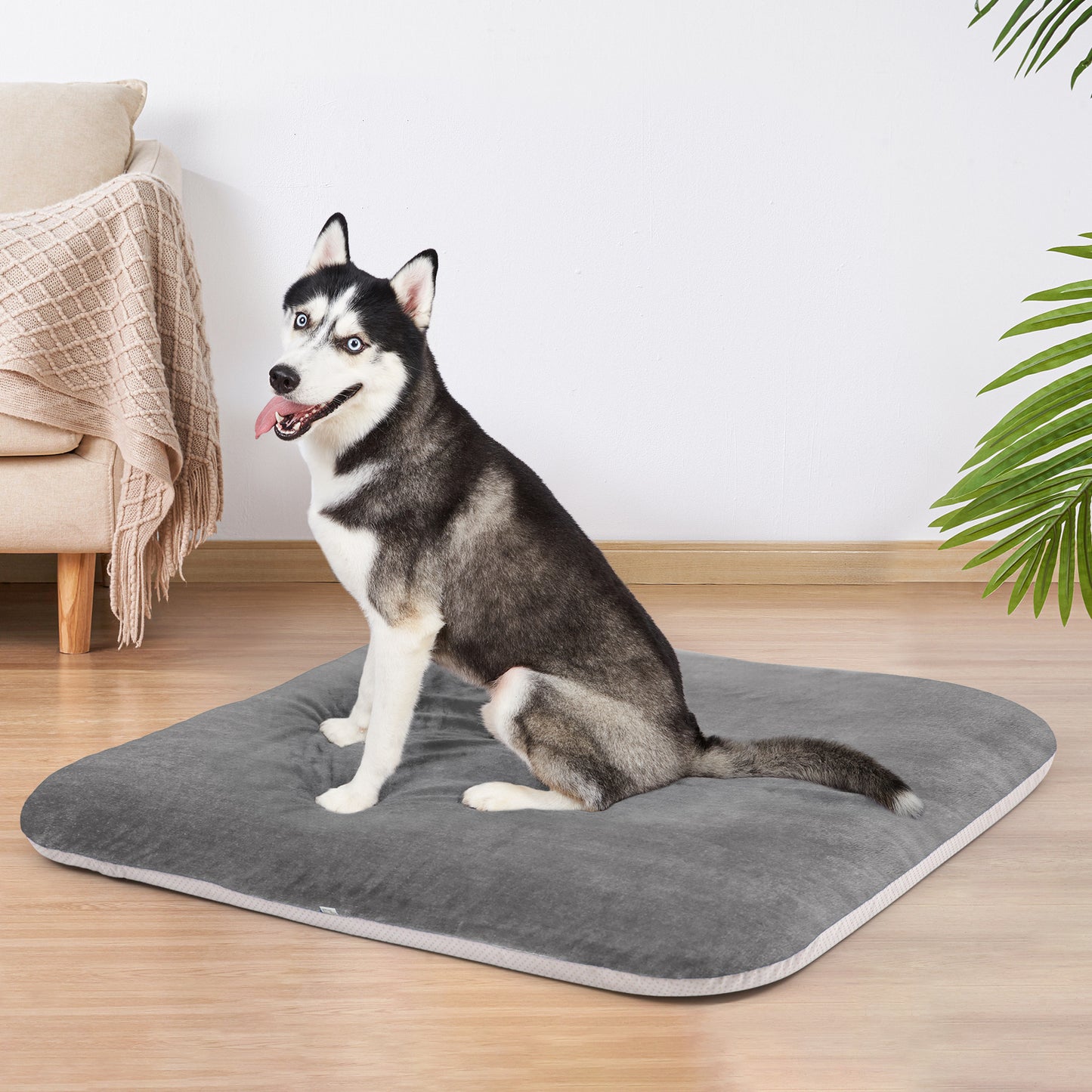 Dog Sleeping Mattress Pad