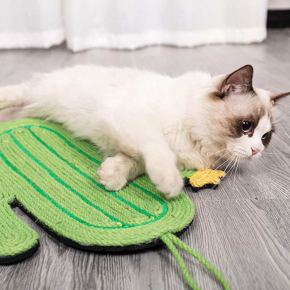 Cat Scratching Board Cat Scratcher Toy Sisal Rope