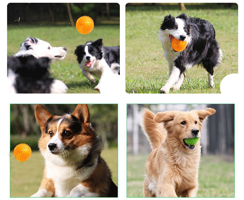 Toy Polka Squeaky Tooth Cleaning Ball