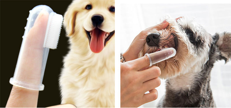Pet Toothbrush