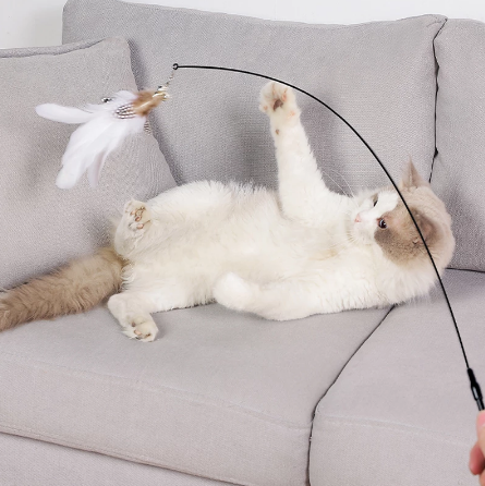 Cat Toy Interactive Feather