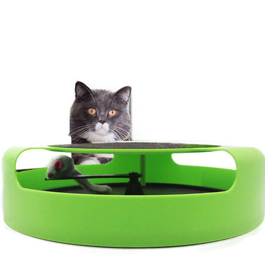 Cat Kitty Pet Toy