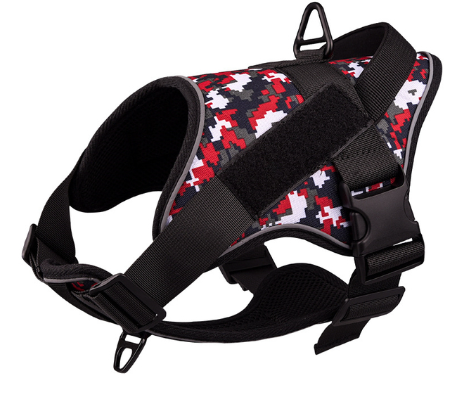 Outdoor Walking Dog Collar Strap