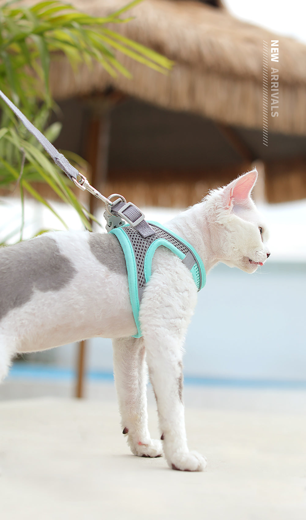 New Cat Harness Leash Set Adjustable Kitten Collar Vest