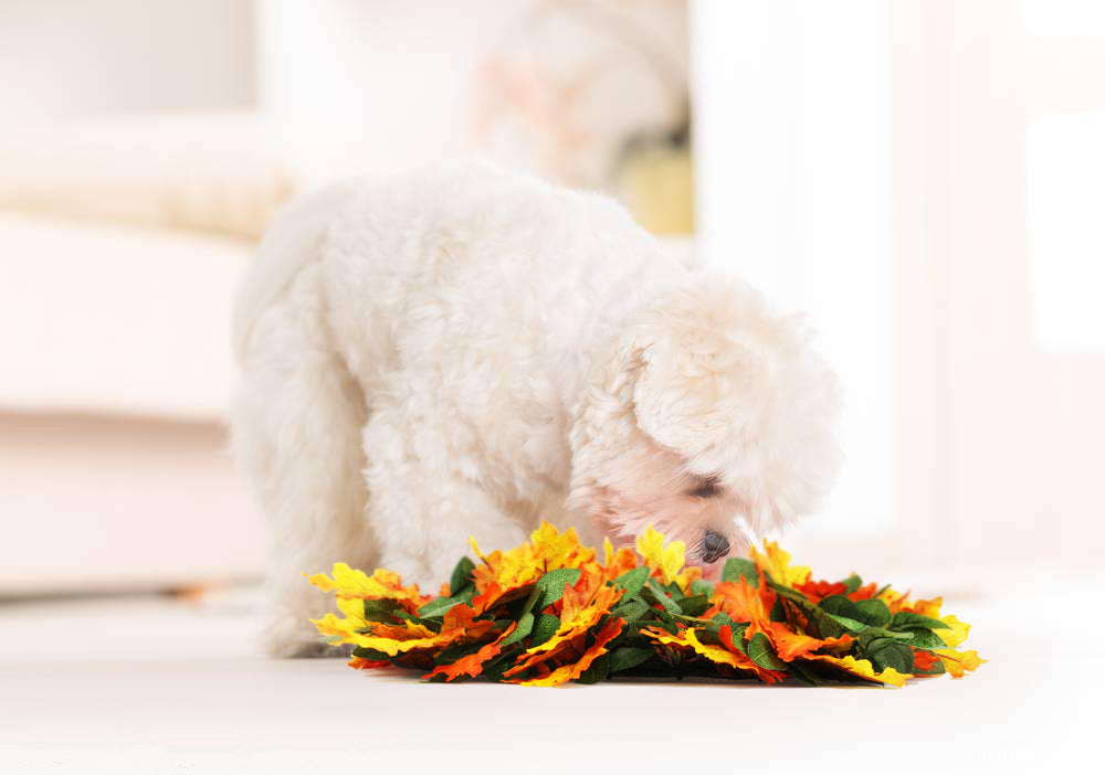 Pet Sniffing Pad Leaf Toy