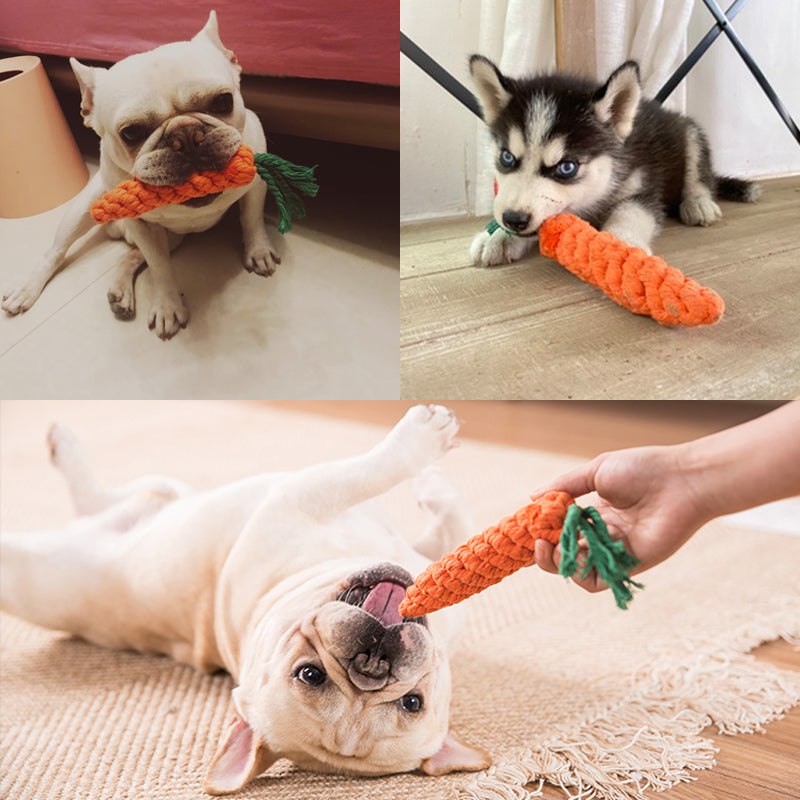 Toys for Small Dogs Cleaning Teeth