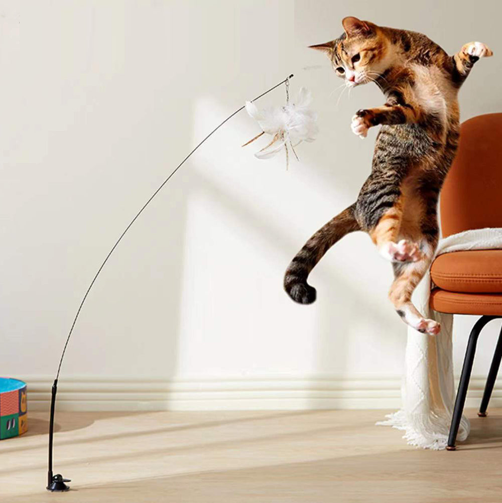 Cat Toy Interactive Feather