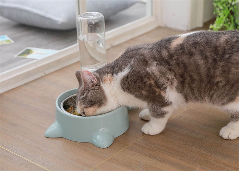 Cat Bowl with Stand Automatic Water Storage