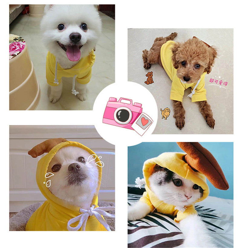 Cute Fruit Dog Clothes