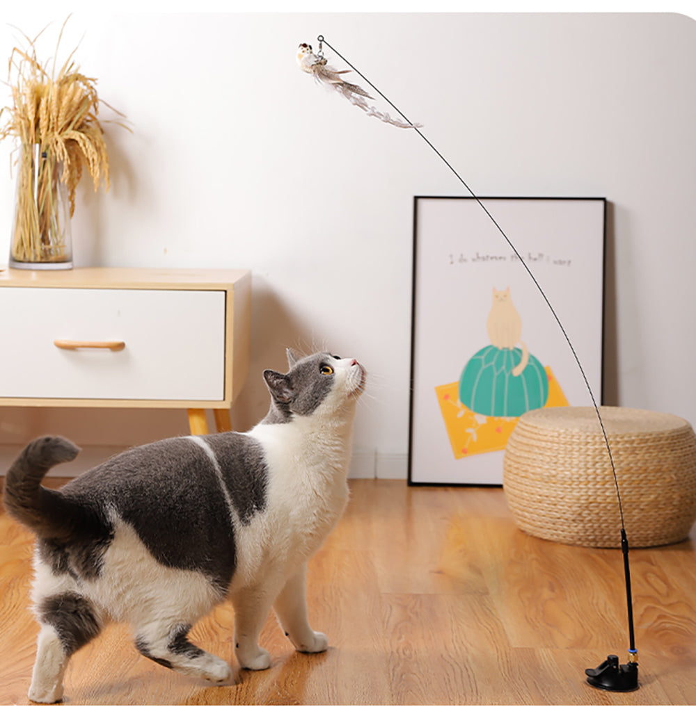 Cat Toy Interactive Feather