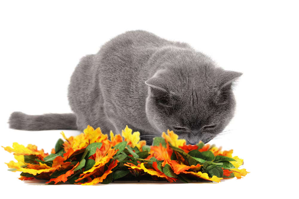 Pet Sniffing Pad Leaf Toy