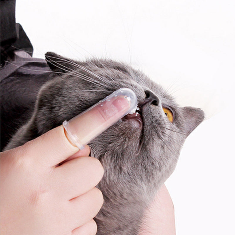 Pet Toothbrush