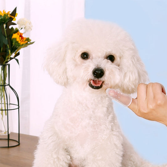 Pet Toothbrush