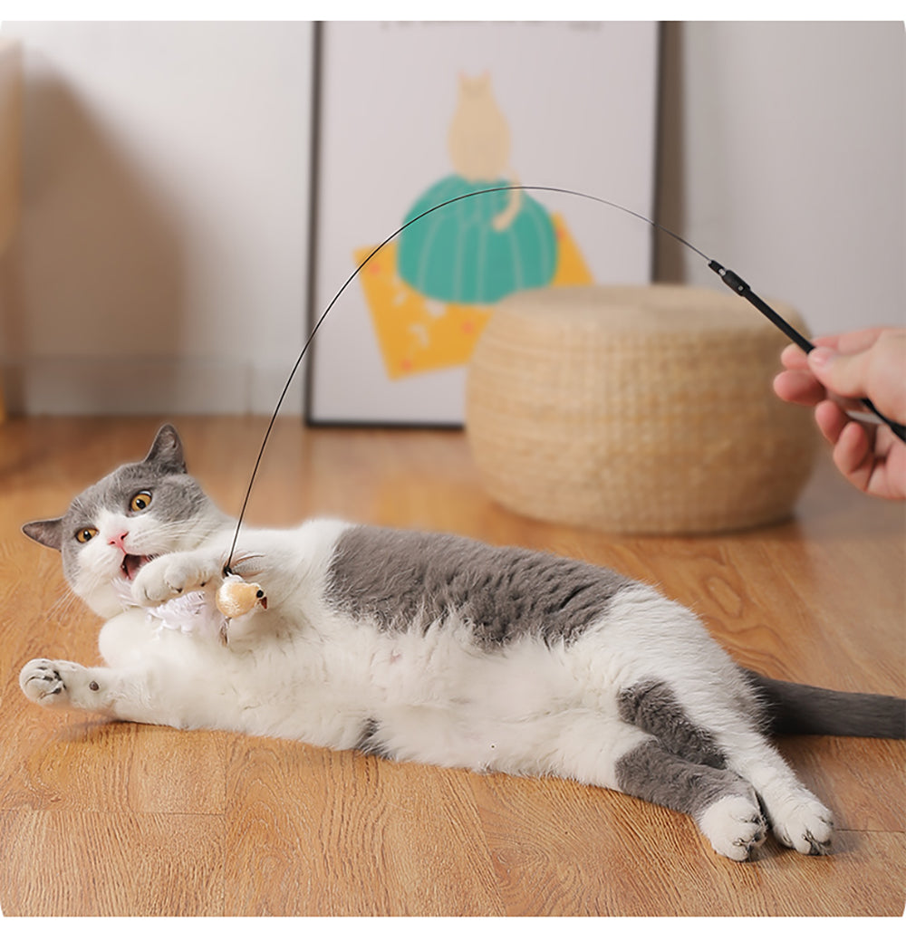 Cat Toy Interactive Feather