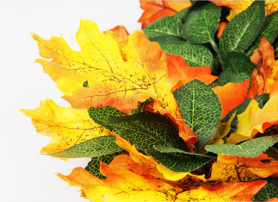 Pet Sniffing Pad Leaf Toy