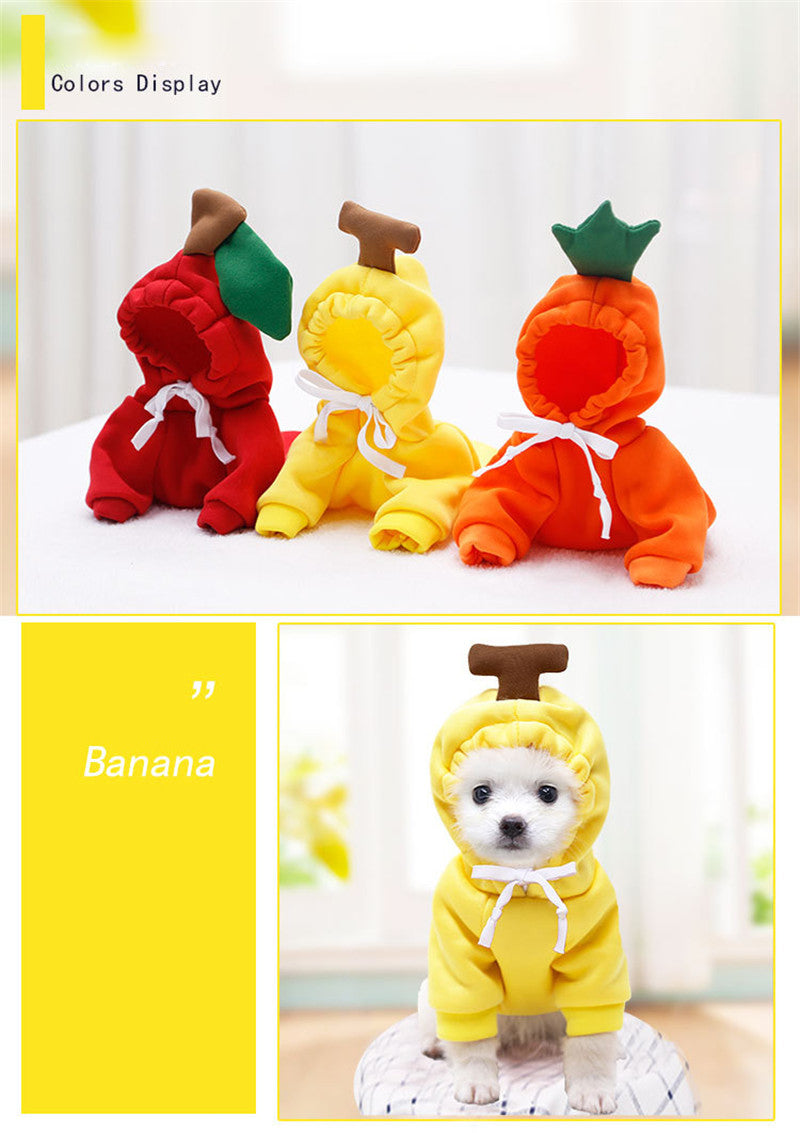 Cute Fruit Dog Clothes