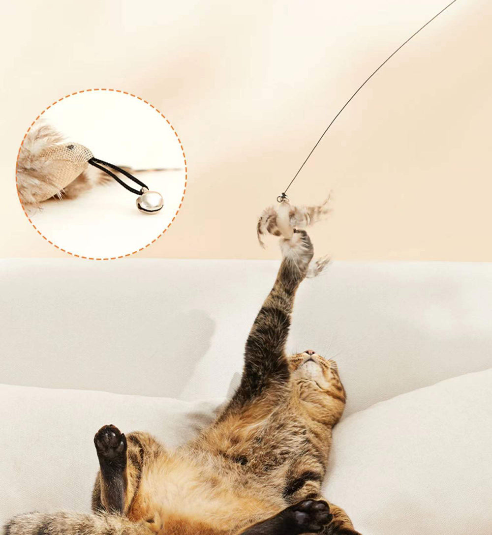 Cat Toy Interactive Feather