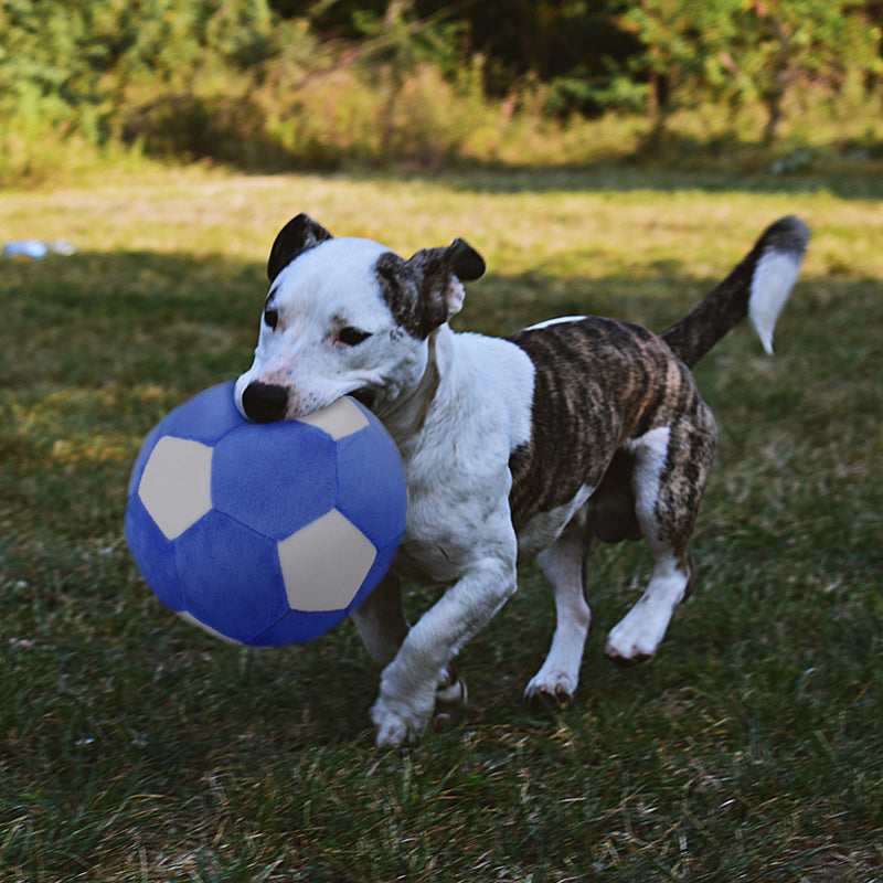 Puppy Plush Football Toys