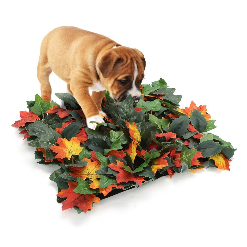 Pet Sniffing Pad Leaf Toy