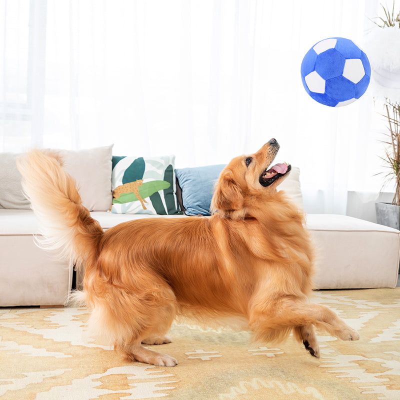 Puppy Plush Football Toys