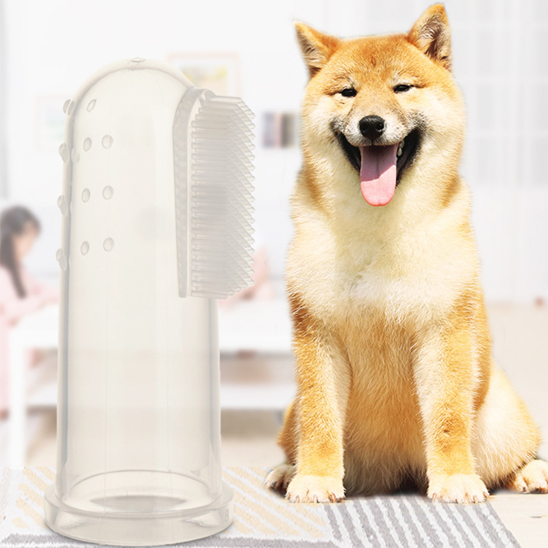 Pet Toothbrush