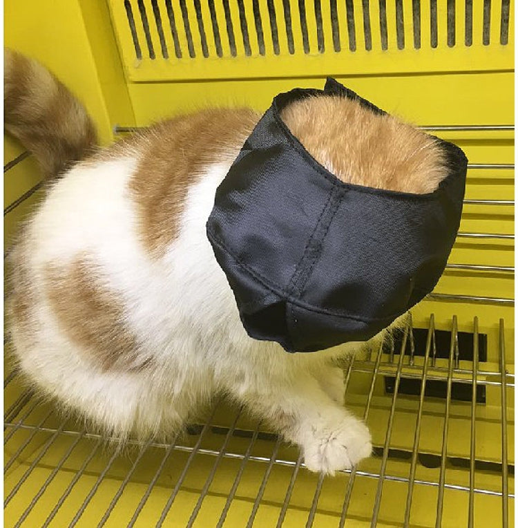 Breathable Nylon Cat Muzzles Kitten Anti-bite Scratch Mask Adjustable