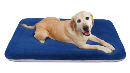 Dog Sleeping Mattress Pad