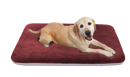 Dog Sleeping Mattress Pad