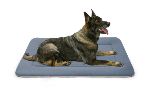 Dog Big Puppy Cushion Bed