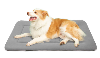 Dog Big Puppy Cushion Bed